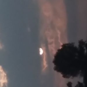 Meet your Posher, Addison